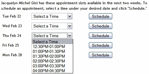 The web conferencing application window.