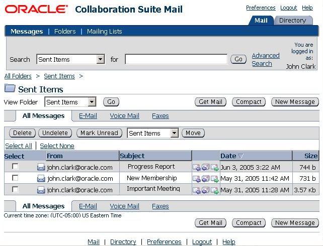 The web conferencing application window.