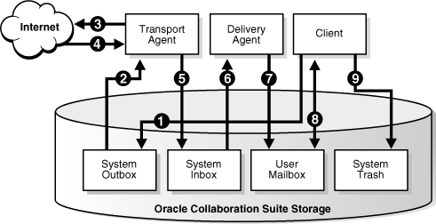 Description of Figure 9-1 follows